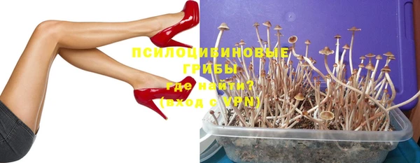 шишки Алексин