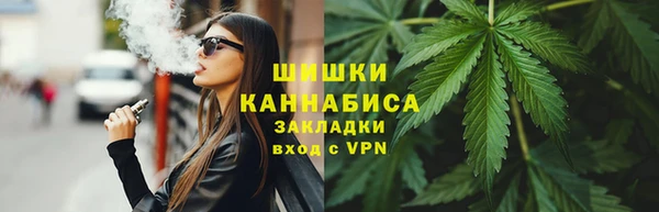 шишки Алексин