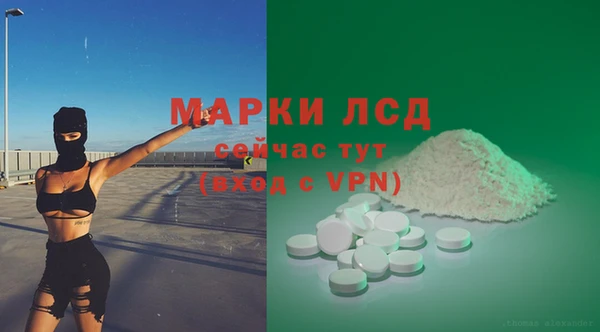 шишки Алексин