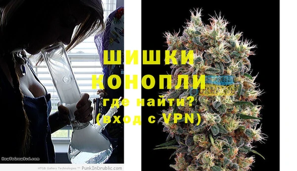 шишки Алексин