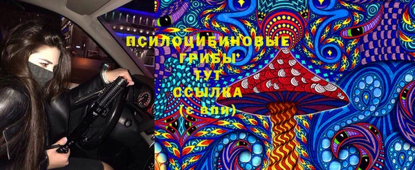 тгк Алексеевка