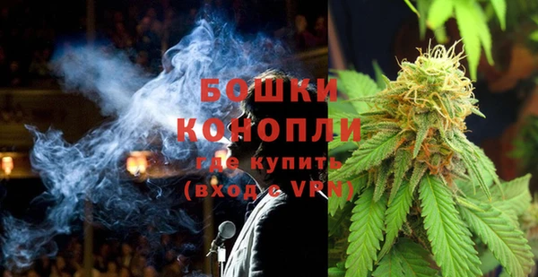 шишки Алексин
