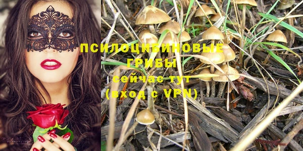 шишки Алексин