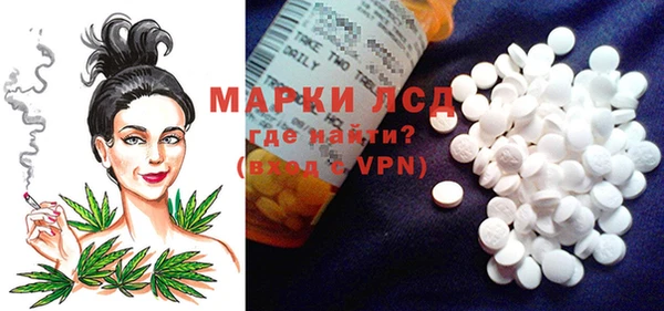 шишки Алексин